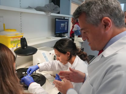 Miguel Alaminos, a la derecha, en el laboratorio de Ingeniería Tisular de la Universidad de Granada.