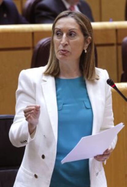 La ministra de Fomento, Ana Pastor, interviene durante la &uacute;ltima sesi&oacute;n de control celebrada en el Senado, en Madrid. EFE/Fernando Alvarado