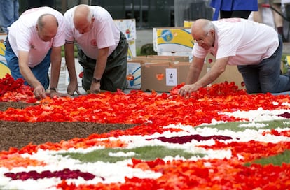 Voluntarios construyen una sección de la Alfombra de flores de Bruselas, instalada en la Grand Place. 