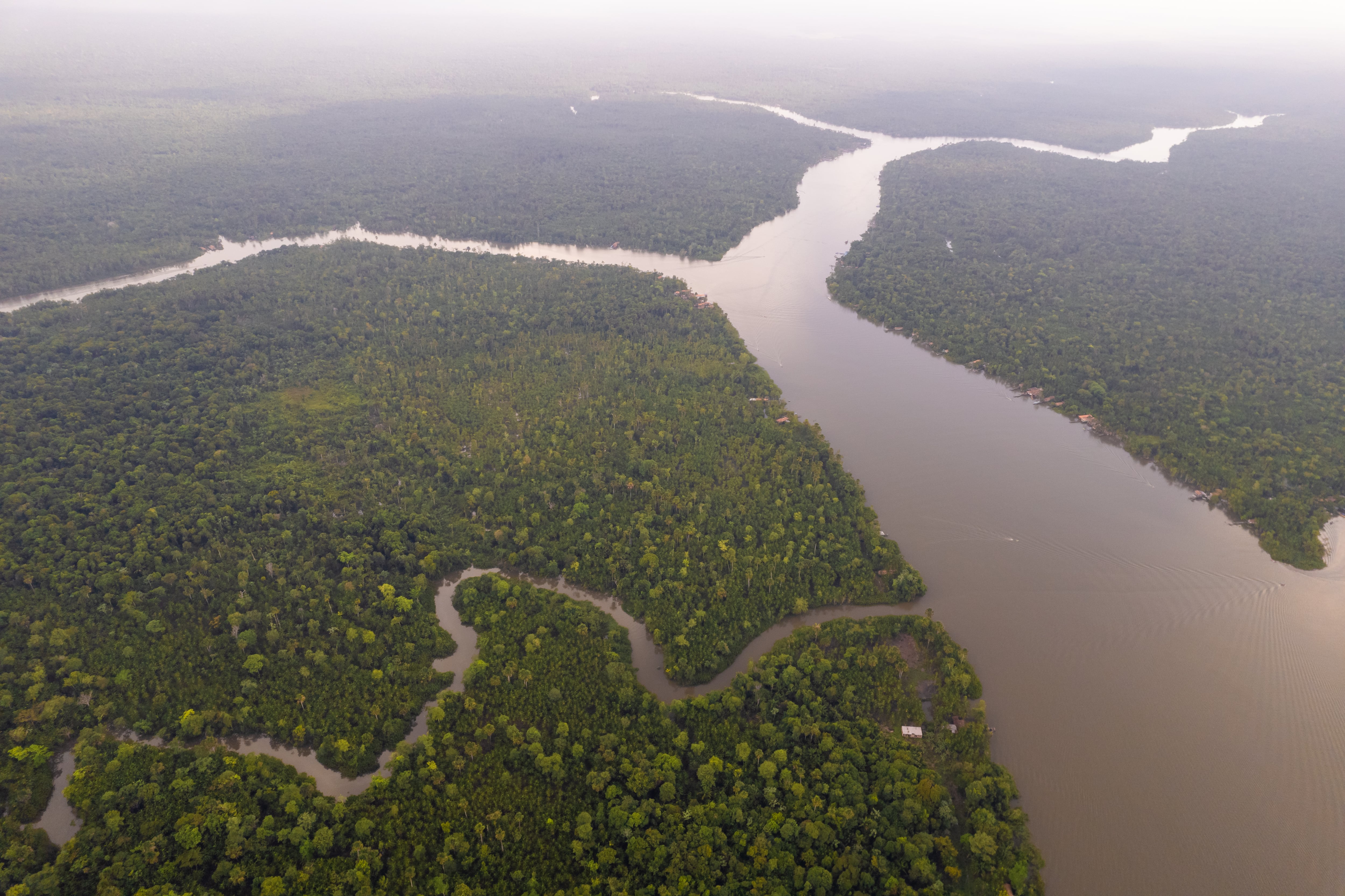 En las elecciones de Brasil también se disputa la supervivencia de la Amazonia