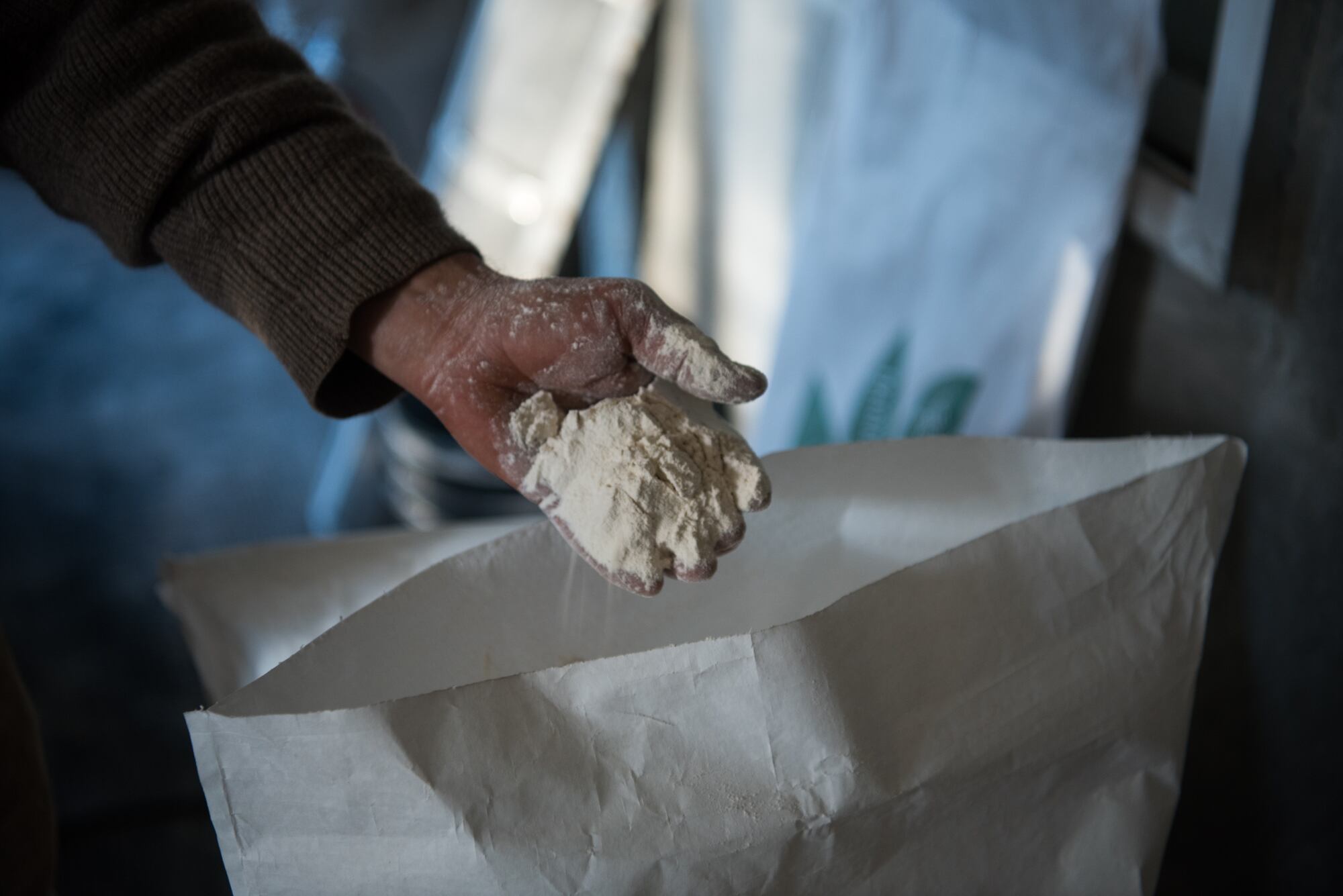 23-06-2024, Tandil, Provincia de Buenos Aires.

Damián Colucci produce harina agroecologica en el paraje El Gallo, Tandíl, PBA.
Su marca es Monte Callado

Entrevista con Diego Jemio, para El Pais.