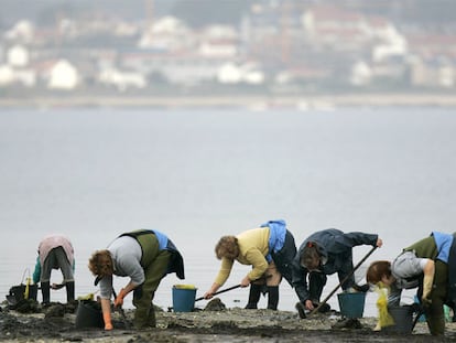 Un grupo de mariscadoras, trabajando en enero de 2007 en la playa del Terrón, Vilanova de Arousa.