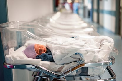 Bebés recién nacidos en un hospital.