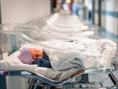 Bebés recién nacidos en un hospital.