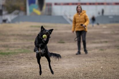 Una mujer juega a pelota con su perro en el parque Joan Miró.