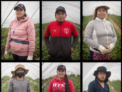 De izquierda a derecha y de arriba a abajo, Norma Yucailla, Pedro Alta,  Jessica Yepez, David Tuqueret,  Alexandra Sevilla y Anderson Tuqueret, trabajadores ecuatorianos en la recogida de fresas en fincas de Moguer (Huelva).