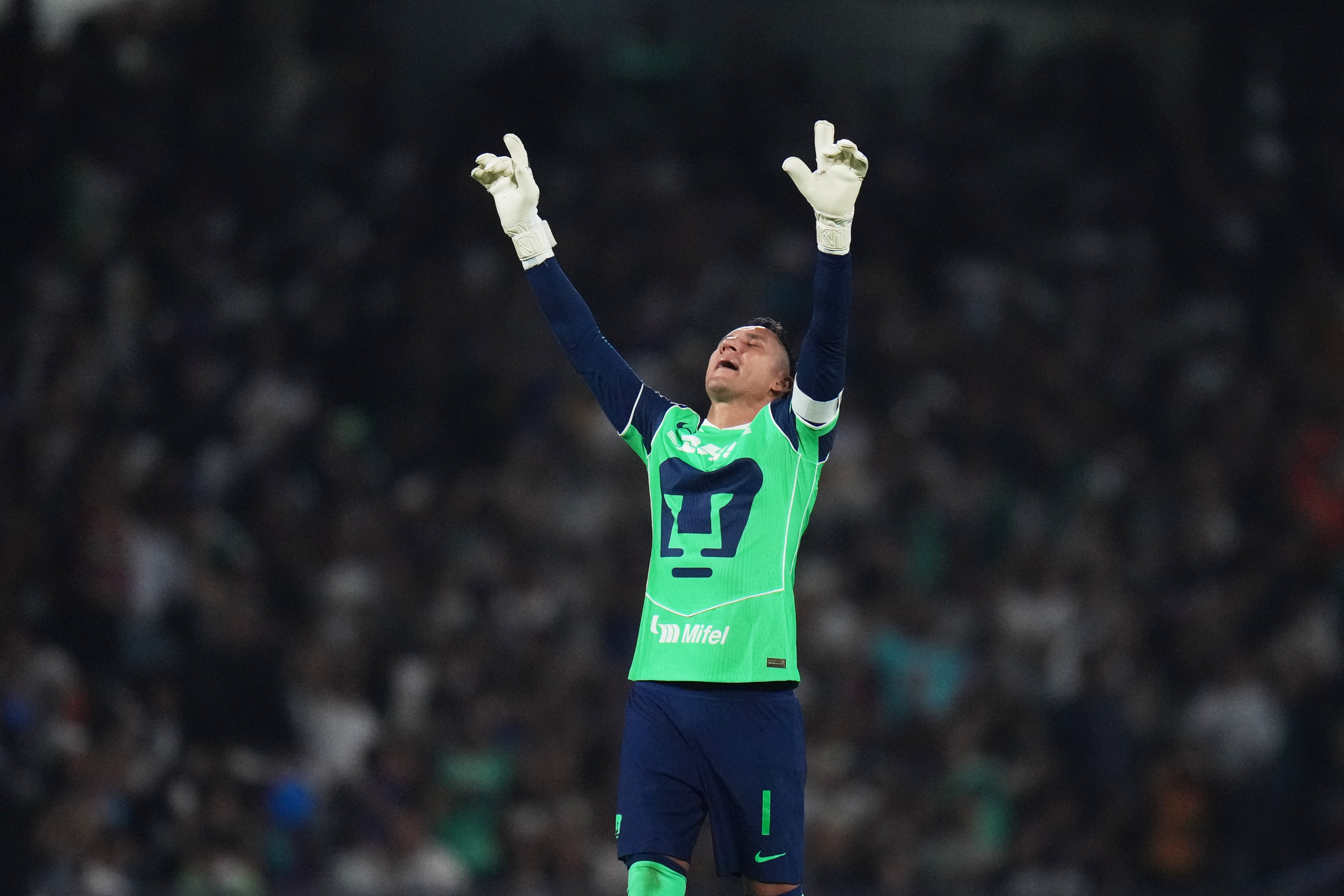 Los Pumas, la selección de América Latina