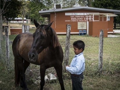 Un niño junto a un caballo, en una escuela primaria en una zona rural de Campeche