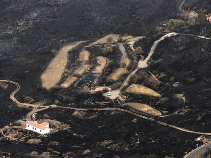 Foto facilitada por el Gobierno regional de la destrucci&oacute;n causada por el incendio que afecta a la cumbre de Gran Canaria.