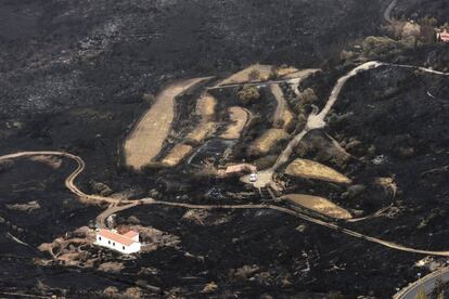 Foto facilitada por el Gobierno regional de la destrucción causada por el incendio que afecta a la cumbre de Gran Canaria.
