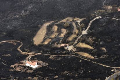 Foto facilitada por el Gobierno regional de la destrucci&oacute;n causada por el incendio que afecta a la cumbre de Gran Canaria.