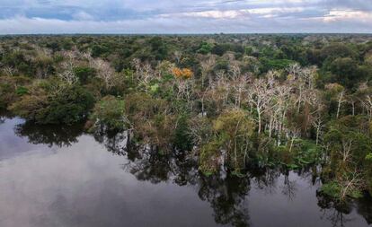 Rio Jarauá, na Reserva de Desenvolvimento Sustentável Mamirauá, Amazonas.
