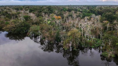 Rio Jarauá, na Reserva de Desenvolvimento Sustentável Mamirauá, Amazonas.