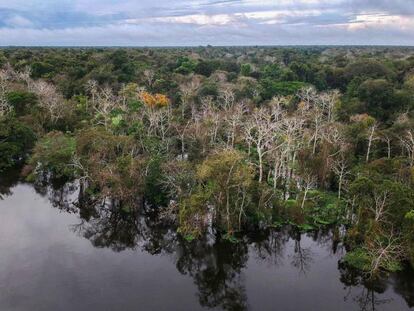 Rio Jarauá, na Reserva de Desenvolvimento Sustentável Mamirauá, Amazonas.