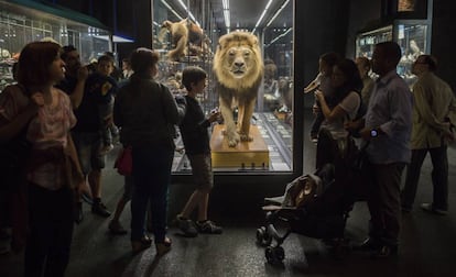 El Museo de Ciencias Naturales durante la Nit dels Museus.