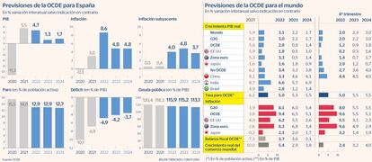 Previsiones OCDE