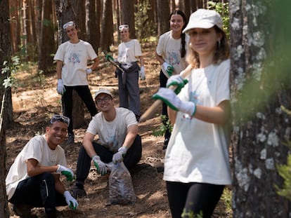 Los voluntarios del proyecto Planet4all reconstruyen el vallado del Hayedo de Montejo, en la sierra de Guadarrama, en Madrid, el pasado miércoles.