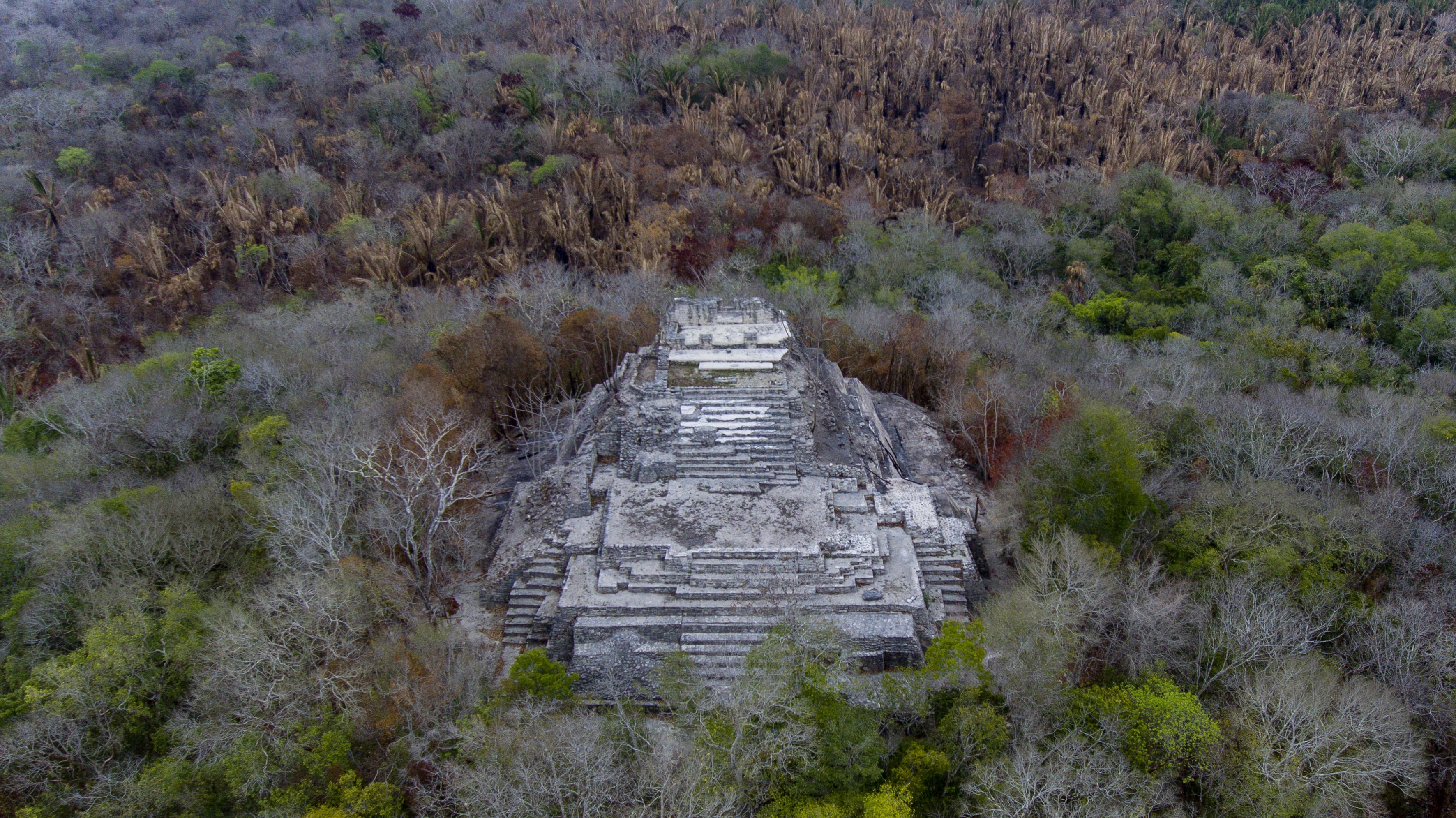 Ichkabal: así es la antigua ciudad maya vecina de Bacalar que abrirá al público como zona arqueológica