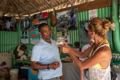 Pelagio Paulino conversa con turistas que visitan su espacio de conservación de las tortugas en la Isla Saona.