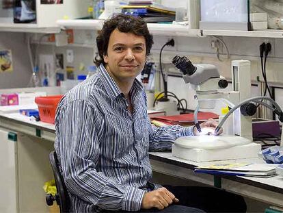 Antonio Giráldez, en el Instituto de Investigación Biomédica de Barcelona.