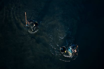 'Sequeiras'. Vilanova de Arousa (Pontevedra), 2023. 