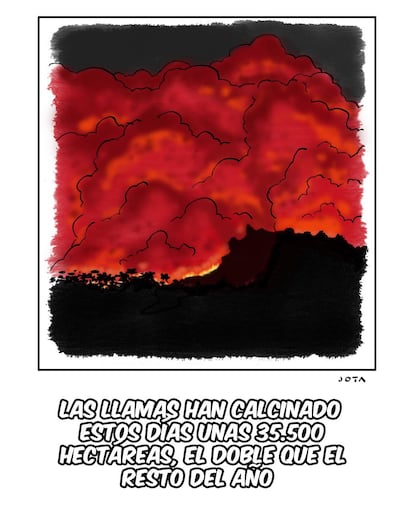 Las llamas han calcinado estos días unas 35.500 hectáreas, el doble que el resto del año.