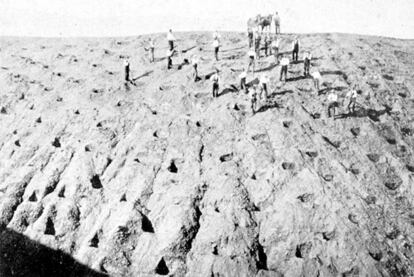 Cabecera de la rambla del Cortijillo, en Esfiliana (Granada), sometida a los trabajos preparatorios para su repoblación forestal. La foto es de 1934.