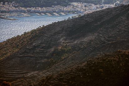 Superficie afectada por el último incendio en el Cap de Creus (Girona).