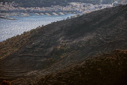 Superficie afectada por el último incendio en el  Cap de Creus (Girona).