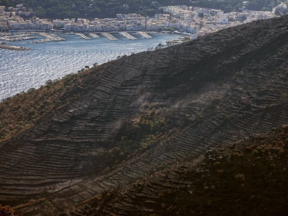 Superficie afectada por el último incendio en el  Cap de Creus (Girona).