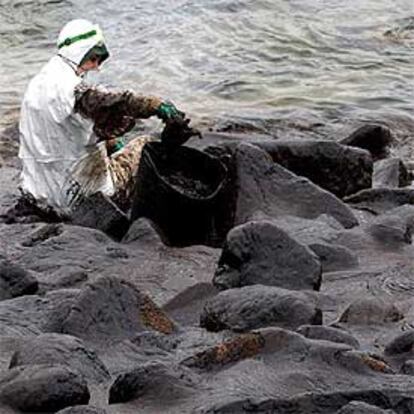 Un voluntario limpia rocas de chapapote, tras el naufragio del<b><i> Prestige.</b></i>