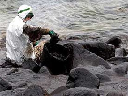 Un voluntario limpia rocas de chapapote, tras el naufragio del<b><i> Prestige.</b></i>