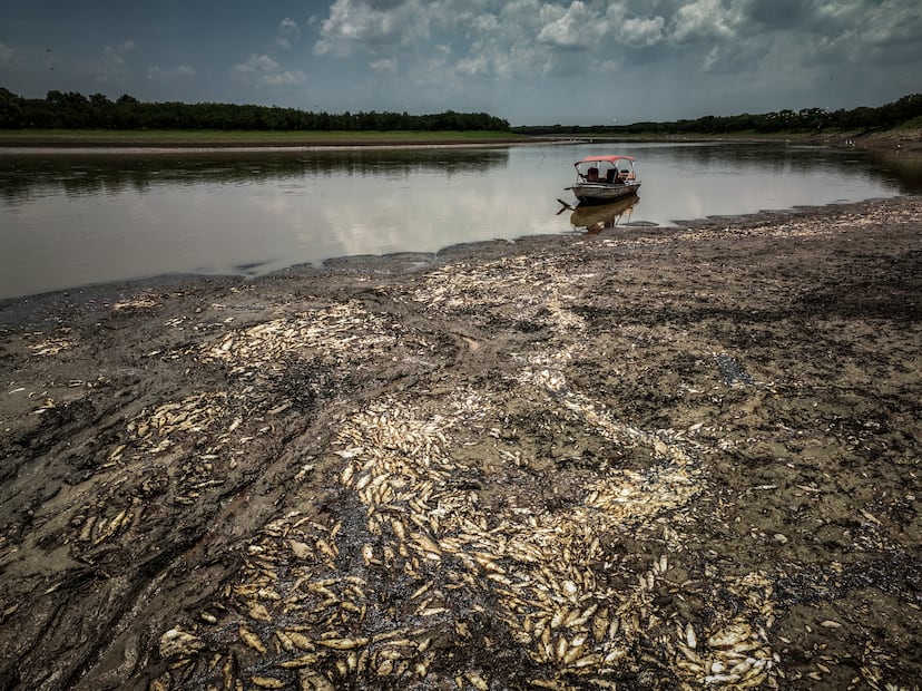 Severe droughts push the Amazon to