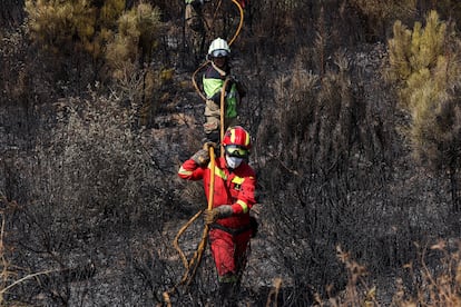 Bomberos trabajan para combatir un incendio forestal en la zona de Riofrío de Aliste, provincia de Zamora, el 13 de agosto.