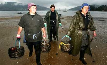 Balbina, Eugenia y Concepción comenzaron ayer a mariscar navajas y almejas en la playa de Cesantes.