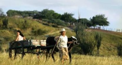 Una de las imágenes promocionales de Dos mujeres y una vaca.