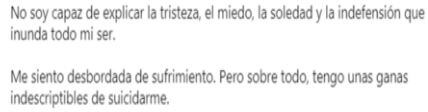 Ejemplo de uno de los mensajes de alerta de conducta suicida que ha investigado la unidad de Redes de la Policía Nacional.