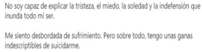 Ejemplo de uno de los mensajes de alerta de conducta suicida que ha investigado la unidad de Redes de la Policía Nacional.