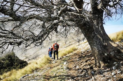 Senderismo en una ruta de 20 kilómetros y 1.200 metros de desnivel por sierra Mágina (Jaen).  