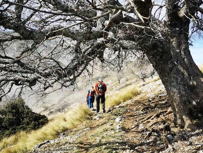 Senderismo en una ruta de 20 kilómetros y 1.200 metros de desnivel por sierra Mágina (Jaen).  