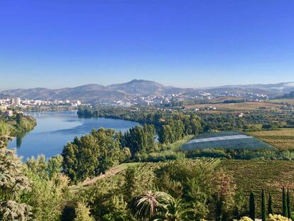UN MEANDRO DEL DOURO, VEGETACIÓN Y VIÑEDOS / CAPEL