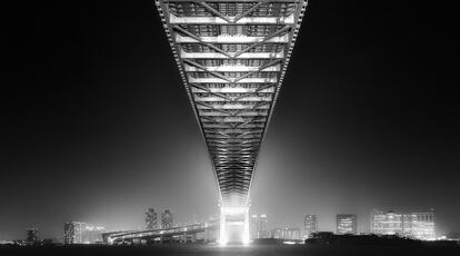 'Back to Human Life', ­Rainbow Bridge, Odaiba, Tokio (Japón).