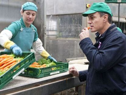 Pedro Sánchez en su visita a la cooperativa agrícola Frusana en Sanlúcar de Barrameda, Cádiz, este martes.