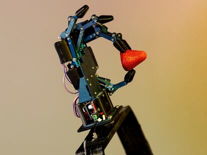 A prototype of a robotic hand designed at the University of Bologna as part of the European Intelliman project.