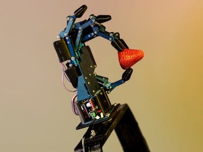 A prototype of a robotic hand designed at the University of Bologna as part of the European Intelliman project.