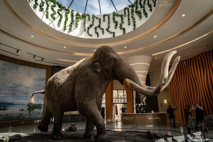 Museo del Mamut en el Aeropuerto Felipe Ángeles