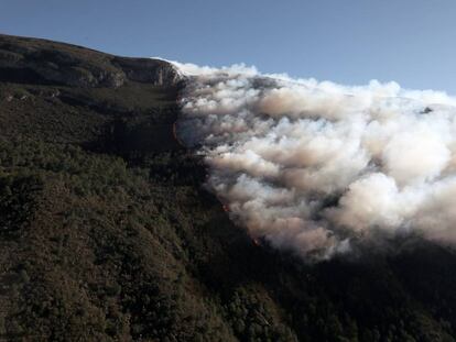 Los incendios en la sierra de Arteaga, en imágenes
