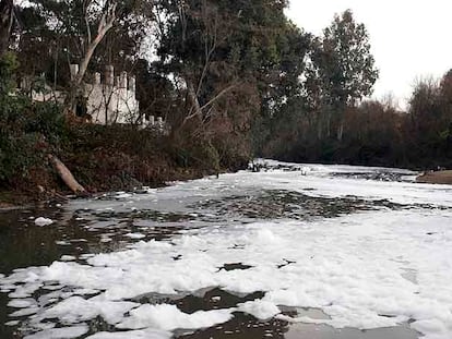 Aspecto que ofrecía el río Guadaira, afluente del Guadalquivir, el 2 de febrero a su paso por Alcalá.