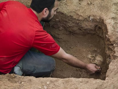 El arque&oacute;logo Ren&eacute; Pacheco descubre un cr&aacute;neo en la fosa com&uacute;n del cementerio de Guadalajara.