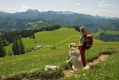 El área forestal más grande de Europa central se alza en Austria bajo el nombre de parque nacional Kalkalpen, con el mayor karst del país. Se sitúa en la región de Pyhm-Eisenwurzen y se extiende hasta las regiones alpinas. Los cañones y manantiales kársticos y los prados alpinos dan refugio a multitud de especies de plantas y animales. Ciervos comunes, venados y gamos, la salamandra alpina, el urogallo o el gallo lira, la trucha del Danubio, aves, mariposas y orquídeas raras. Ofrece actividades de turismo activo